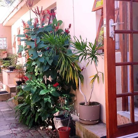 Hoylake Inn Ист-Лондон Экстерьер фото